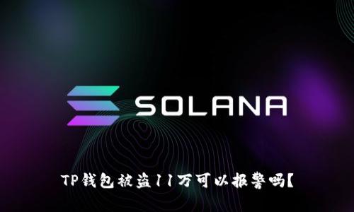 TP钱包被盗11万可以报警吗？