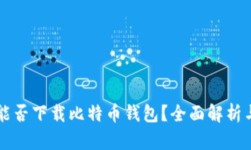 智能手机能否下载比特币钱包？全面解析与实用指南