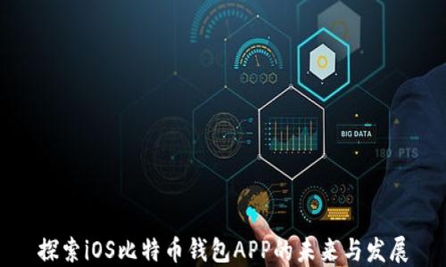 
探索iOS比特币钱包APP的未来与发展