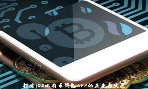 
探索iOS比特币钱包APP的未来与发展