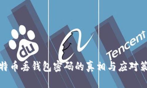 比特币丢钱包密码的真相与应对策略