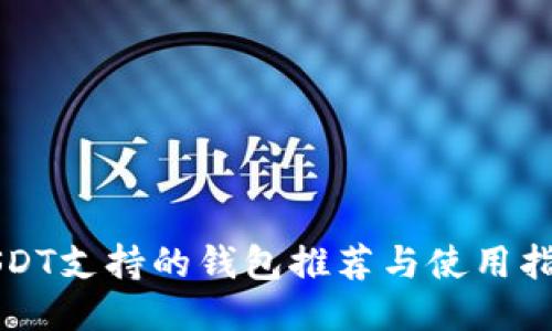 USDT支持的钱包推荐与使用指南