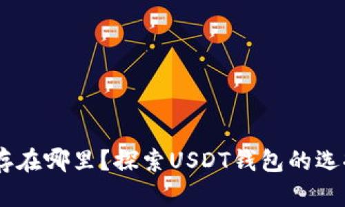 USDT可以存在哪里？探索USDT钱包的选择与安全性