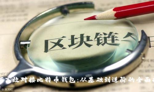 如何高效对接比特币钱包：从基础到进阶的全面指南