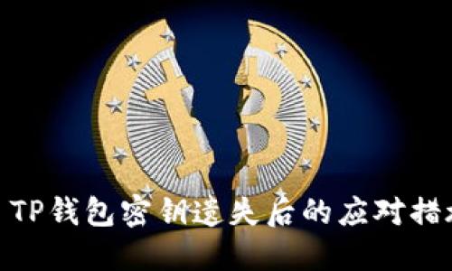 : TP钱包密钥遗失后的应对措施