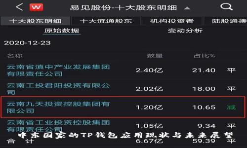 中东国家的TP钱包应用现状与未来展望