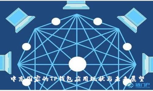 中东国家的TP钱包应用现状与未来展望