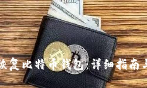 如何有效恢复比特币钱包：详细指南与命令解析