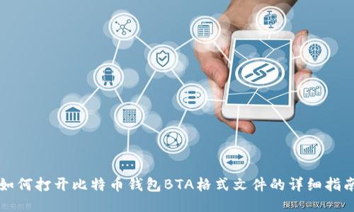 如何打开比特币钱包BTA格式文件的详细指南