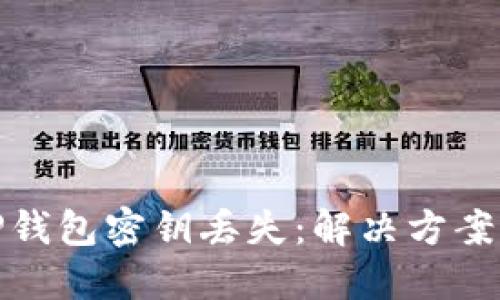 如何应对TP钱包密钥丢失：解决方案与预防措施