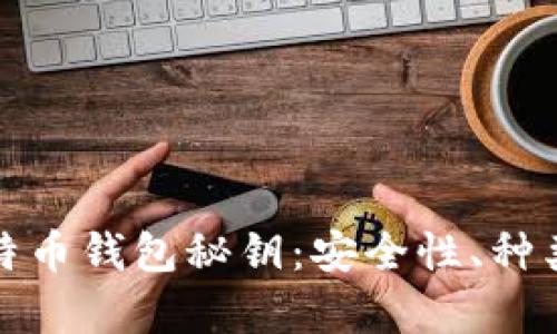 深入解析比特币钱包秘钥：安全性、种类与管理策略