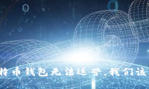如果比特币钱包无法运营，我们该怎么办？