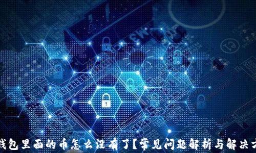 
tp钱包里面的币怎么没有了？常见问题解析与解决方案