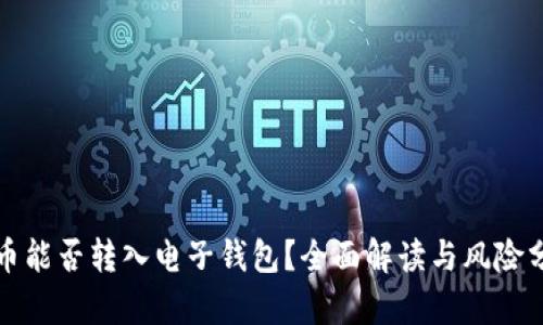 屎币能否转入电子钱包？全面解读与风险分析