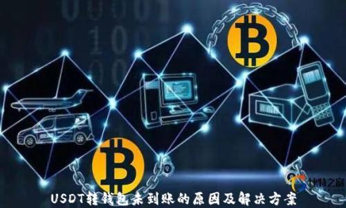 
USDT转钱包未到账的原因及解决方案